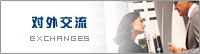 对外交流